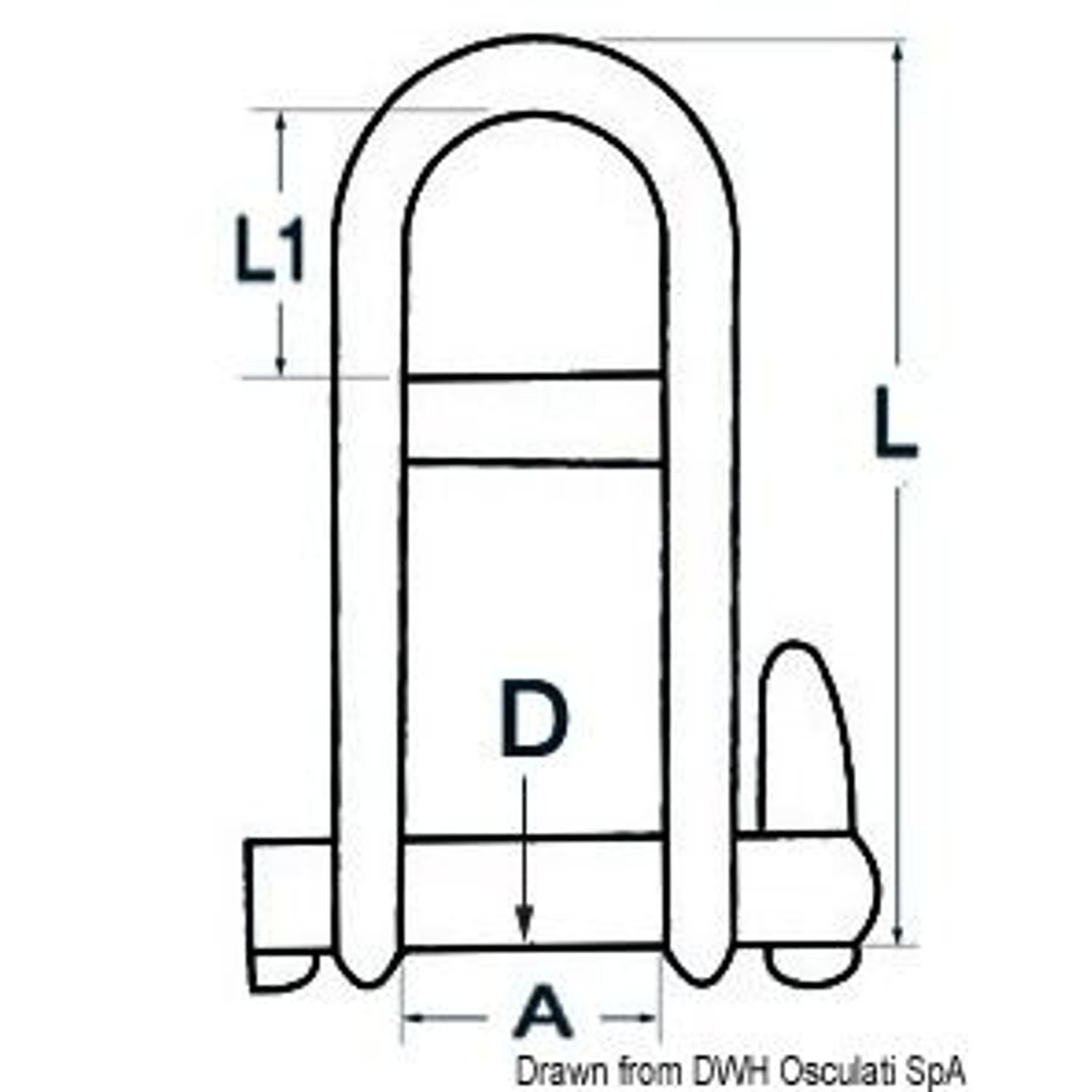 Sakkeli varmistetulla lukitustapilla AISI 316 8 mm