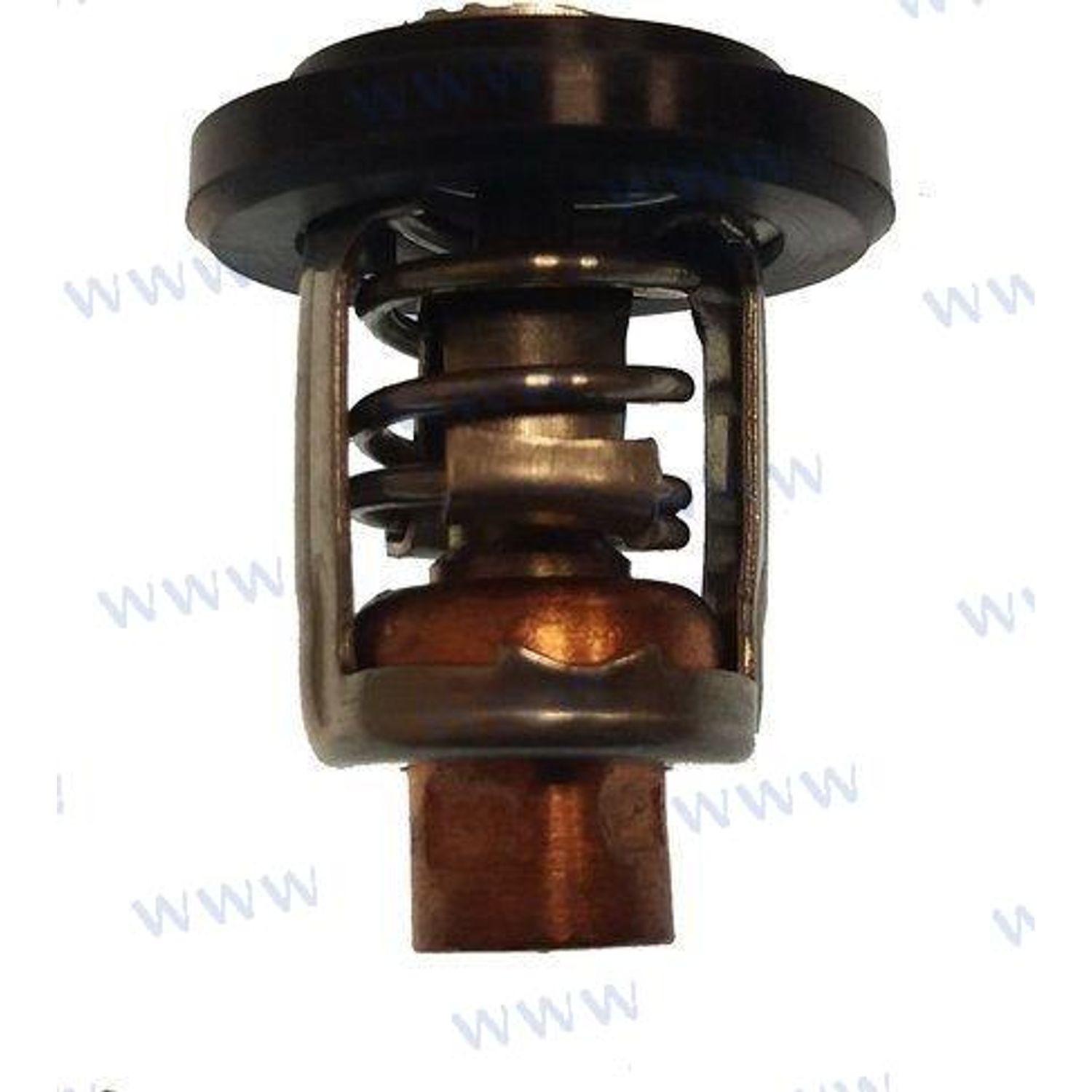 Termostat 60ºC RECPAF1507000031