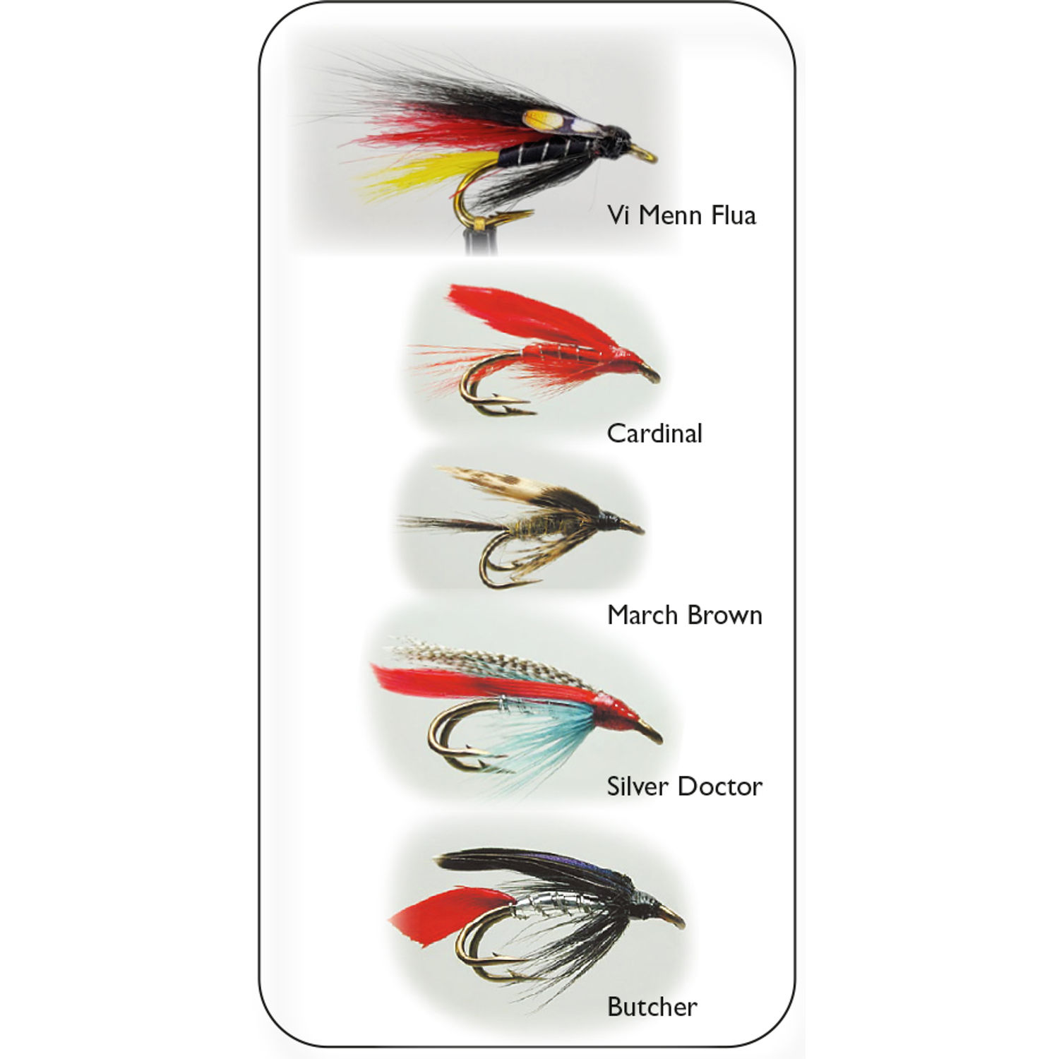 Wet Fly Double 2 - Våtflugor 5st