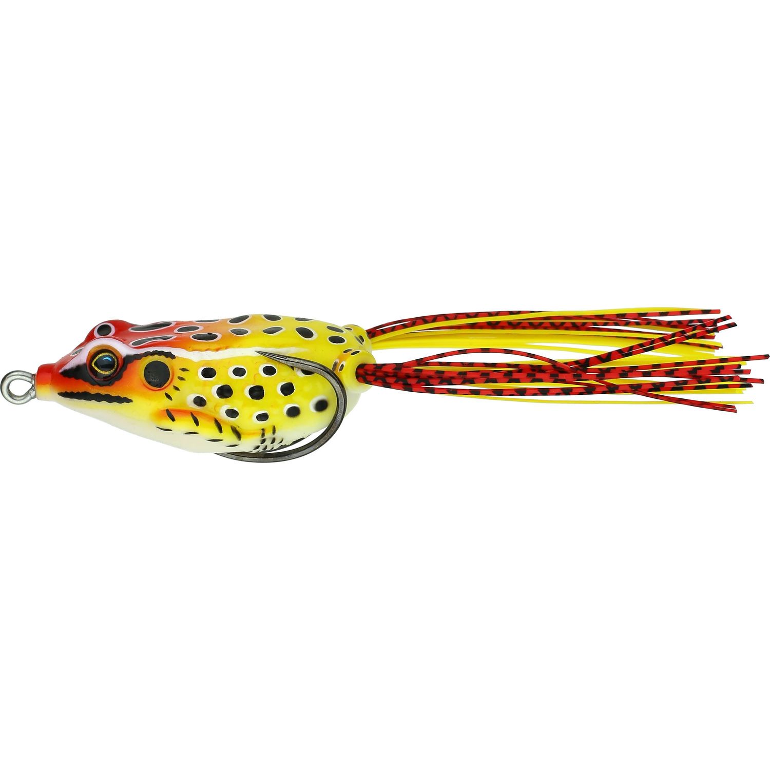 Frogge Softy (Zink) Clown Frog