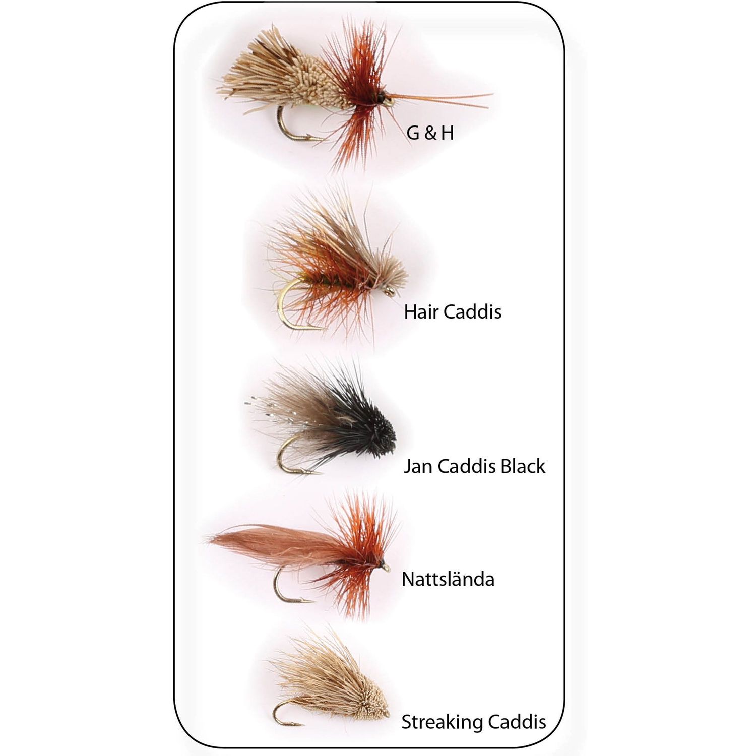 Flugkollektion Sedges 5p #12