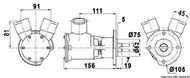 Nauco 242437 pump
