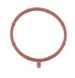 O-Ring WSM00868318