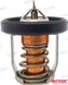 Termostaatti 60°C REC1767094J01