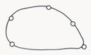 O-ring WSM008632