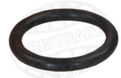 O-ring ORB19974