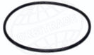 O-ring ORB19000