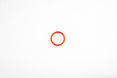 O-Ring WSM00868903