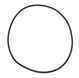 O-ring WSM00868304