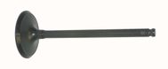 Insugsventil WSM010016R