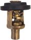 Termostaatti 60°C REC6F51241103