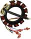 Stator 9 Amp / 3&4 Cyl. CDI1745454K1