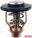 Termostaatti 60°C REC6FP1241100