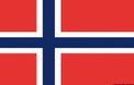 Norges flagg 40 x 60 cm