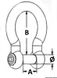 Bågschackel AISI 316 10 mm