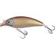 Plague 16 cm 94 g - Champagne