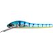 WiggTac 27 g 14 cm - Tiger Blue Lemon