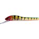 WiggTac 27 g 14 cm - Rainbow Tiger
