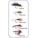 Flugkollektion Goldheads Short Shank 5p #12