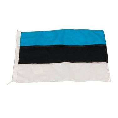 Gjesteflagg Estland