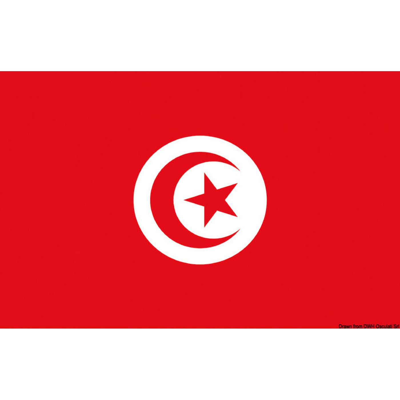 Flag Tunisien 30 x 45 cm