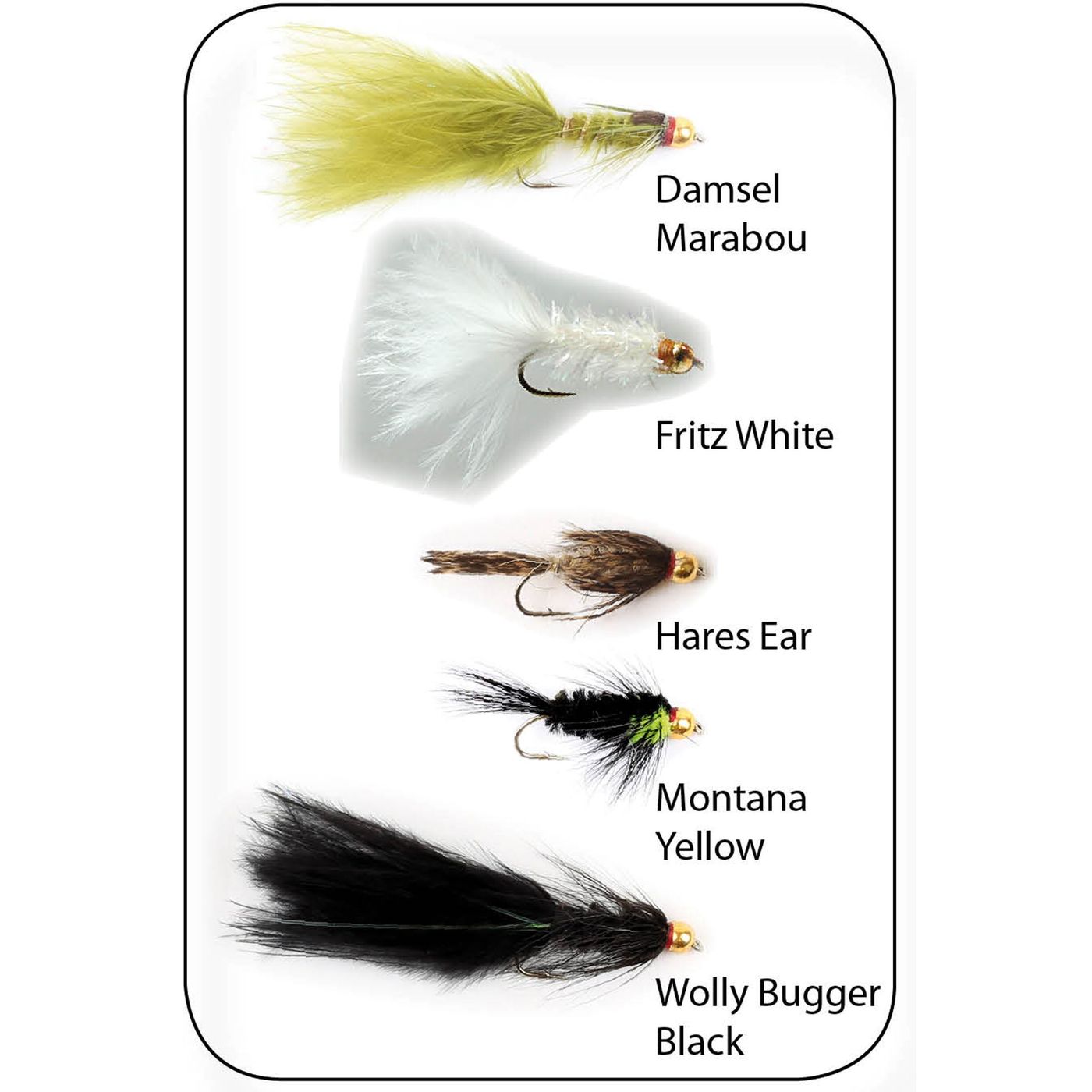 Flugkollektion Goldhead Stillwater 5p #10