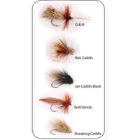 Flugkollektion Sedges 5p #12